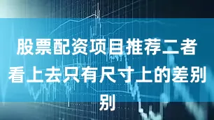 股票配资项目推荐二者看上去只有尺寸上的差别